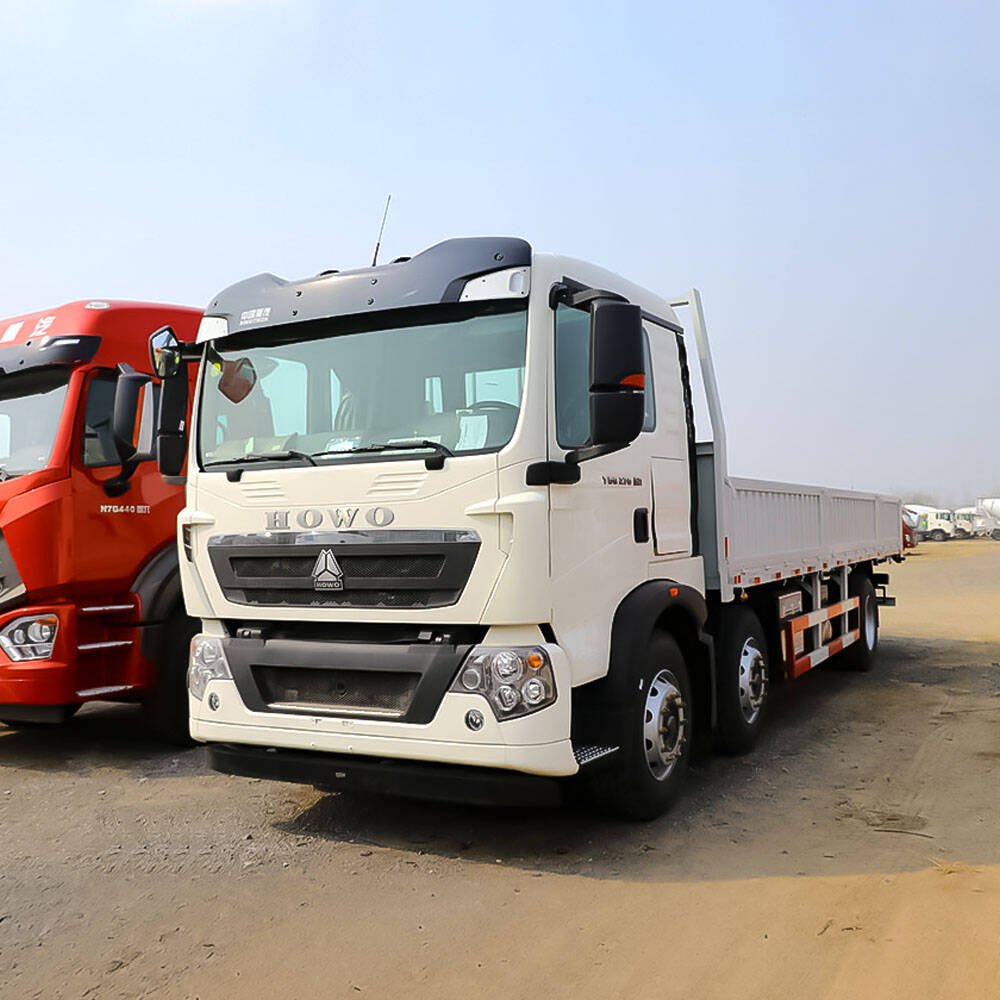 HOWO T5G 270HP 6X4 cargo truck with 7.8m board body supplied by ZW Group